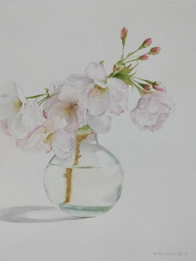 Watercolor Cherry Blossom Drawing Ideas (11)