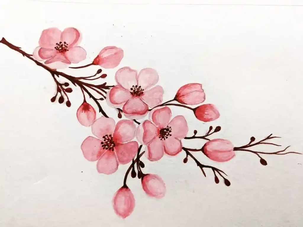 Watercolor Cherry Blossom Drawing Ideas (19)