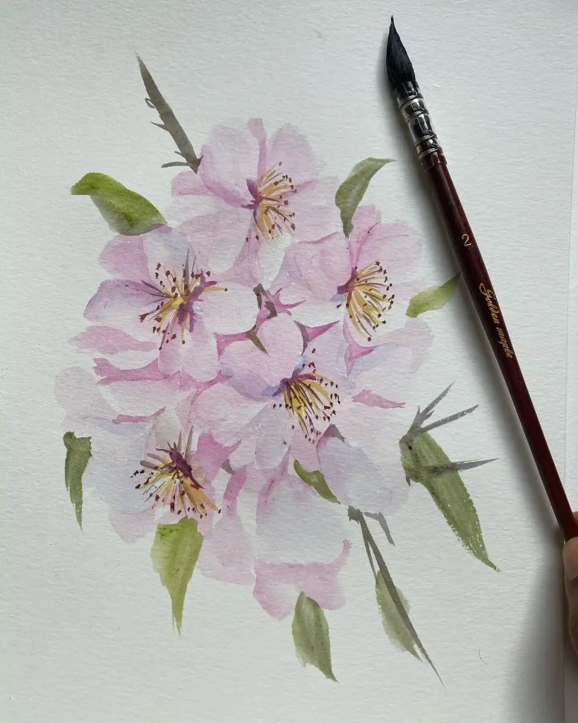 Watercolor Cherry Blossom Drawing Ideas (2)