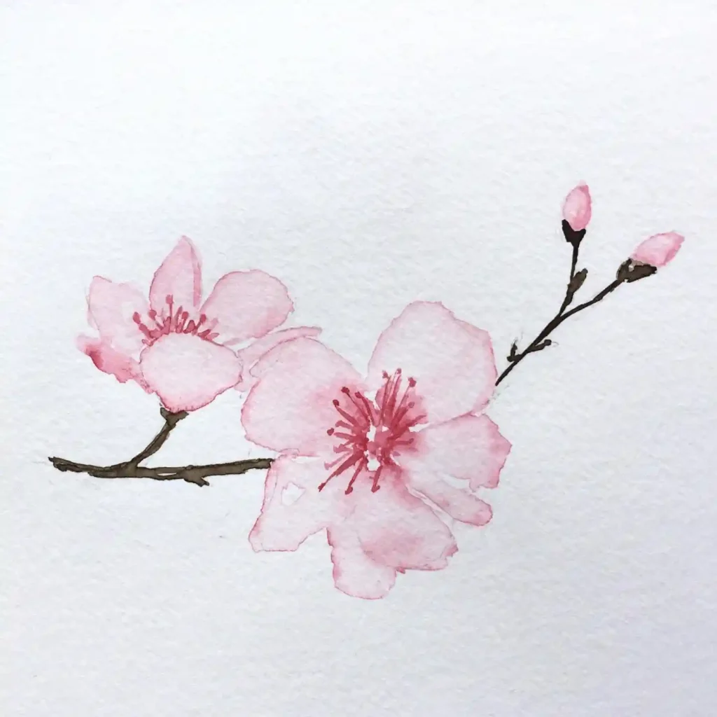 Watercolor Cherry Blossom Drawing Ideas (7)