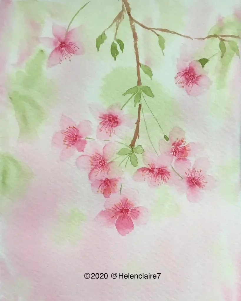 Watercolor Cherry Blossom Drawing Ideas (9)
