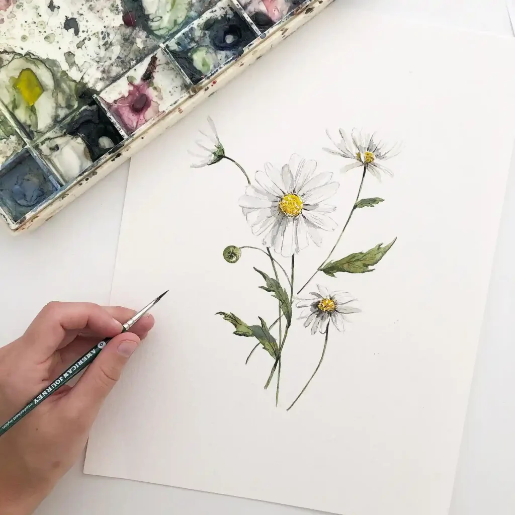 Watercolor Daisy Drawing Ideas (10)