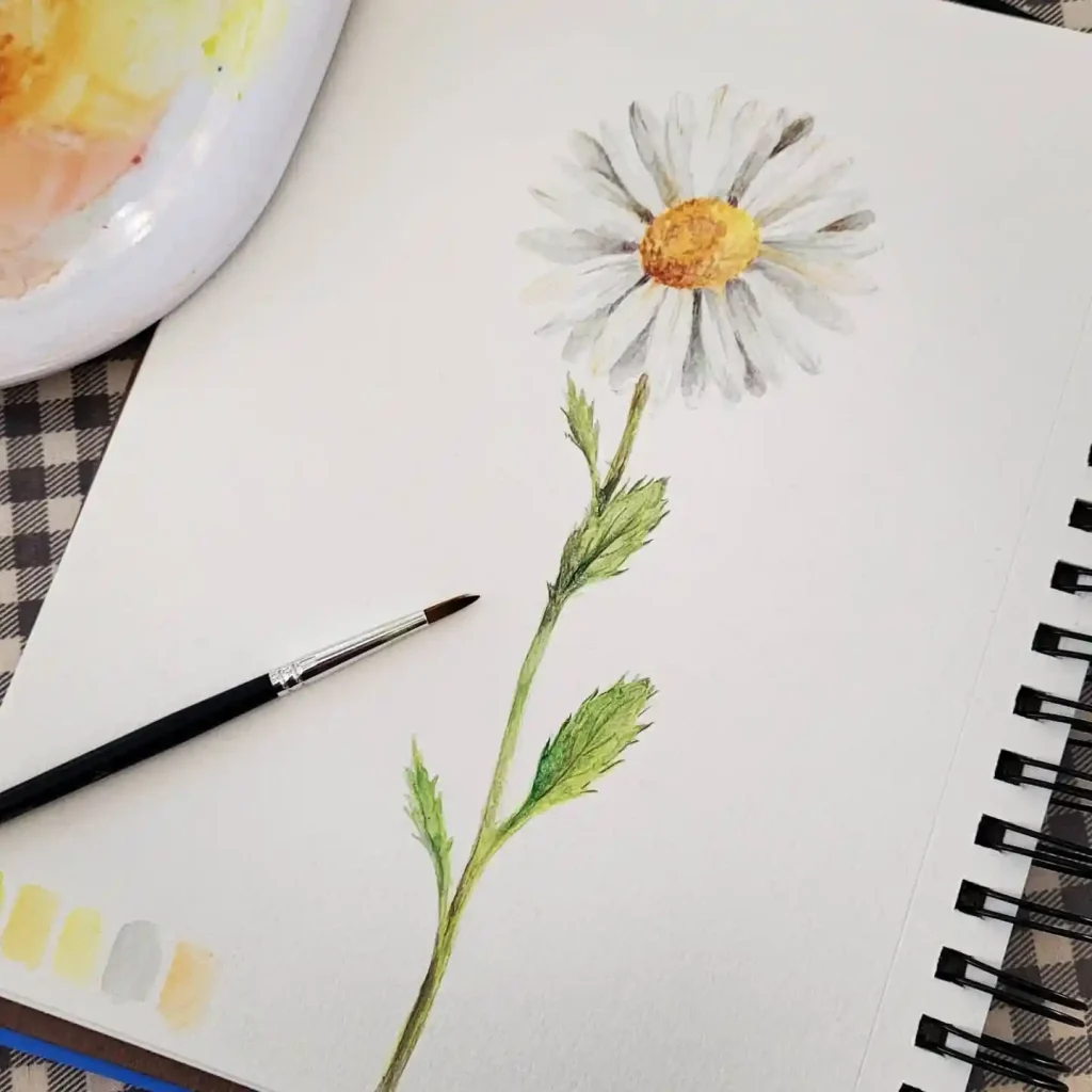 Watercolor Daisy Drawing Ideas (14)