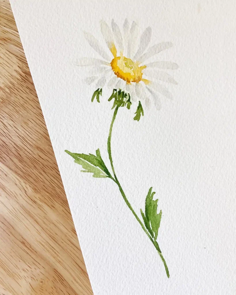 Watercolor Daisy Drawing Ideas (15)