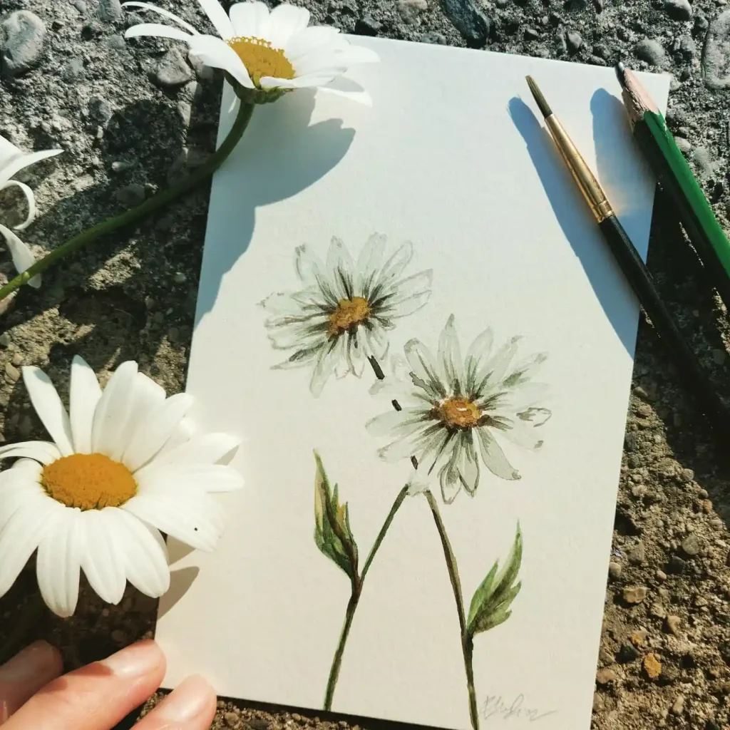 Watercolor Daisy Drawing Ideas (19)