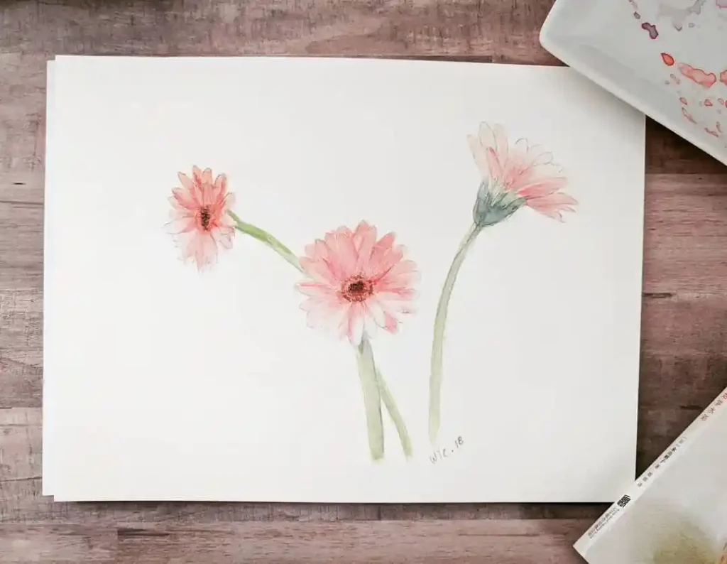 Watercolor Daisy Drawing Ideas (24)