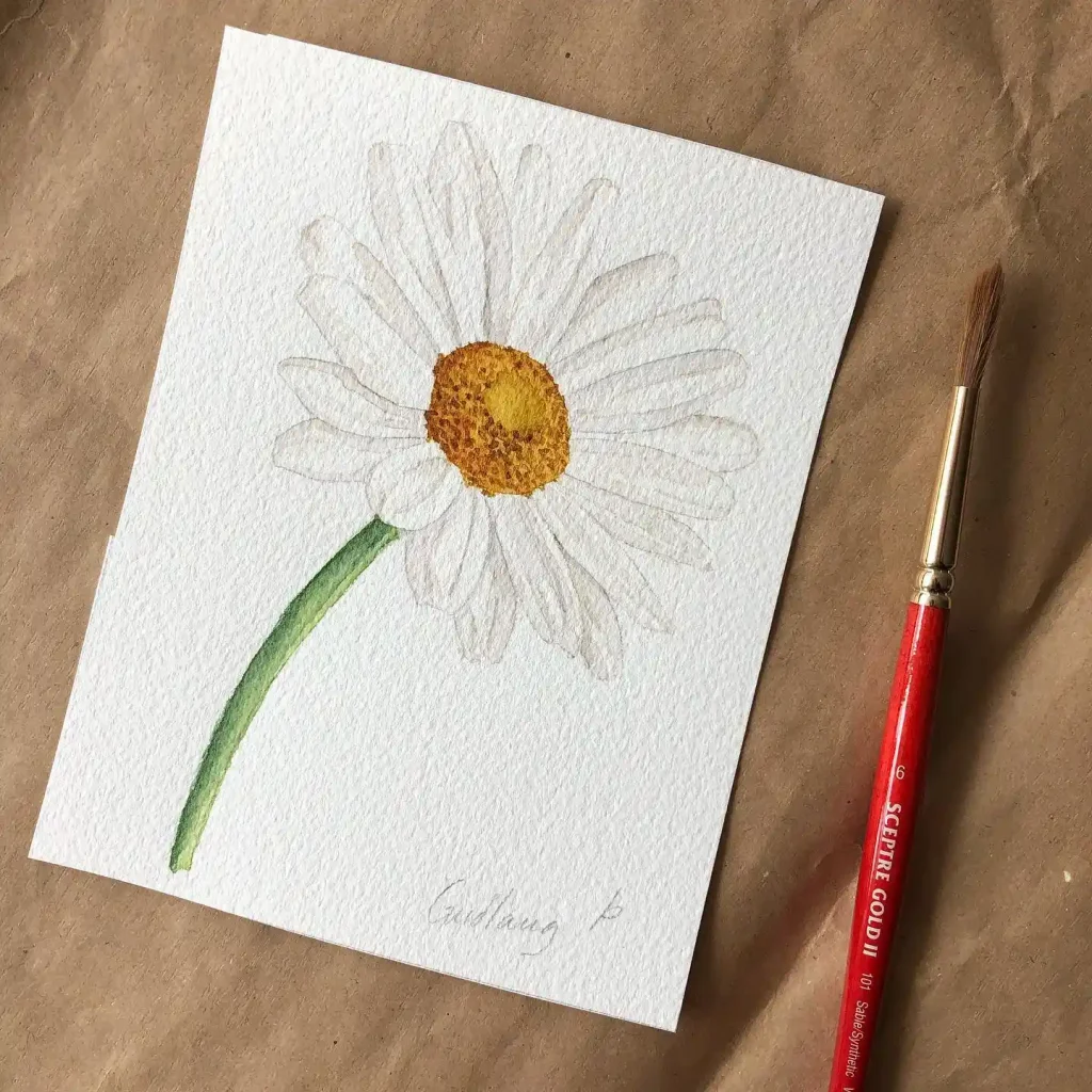 Watercolor Daisy Drawing Ideas (25)