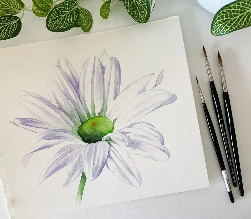 Watercolor Daisy Drawing Ideas (26)