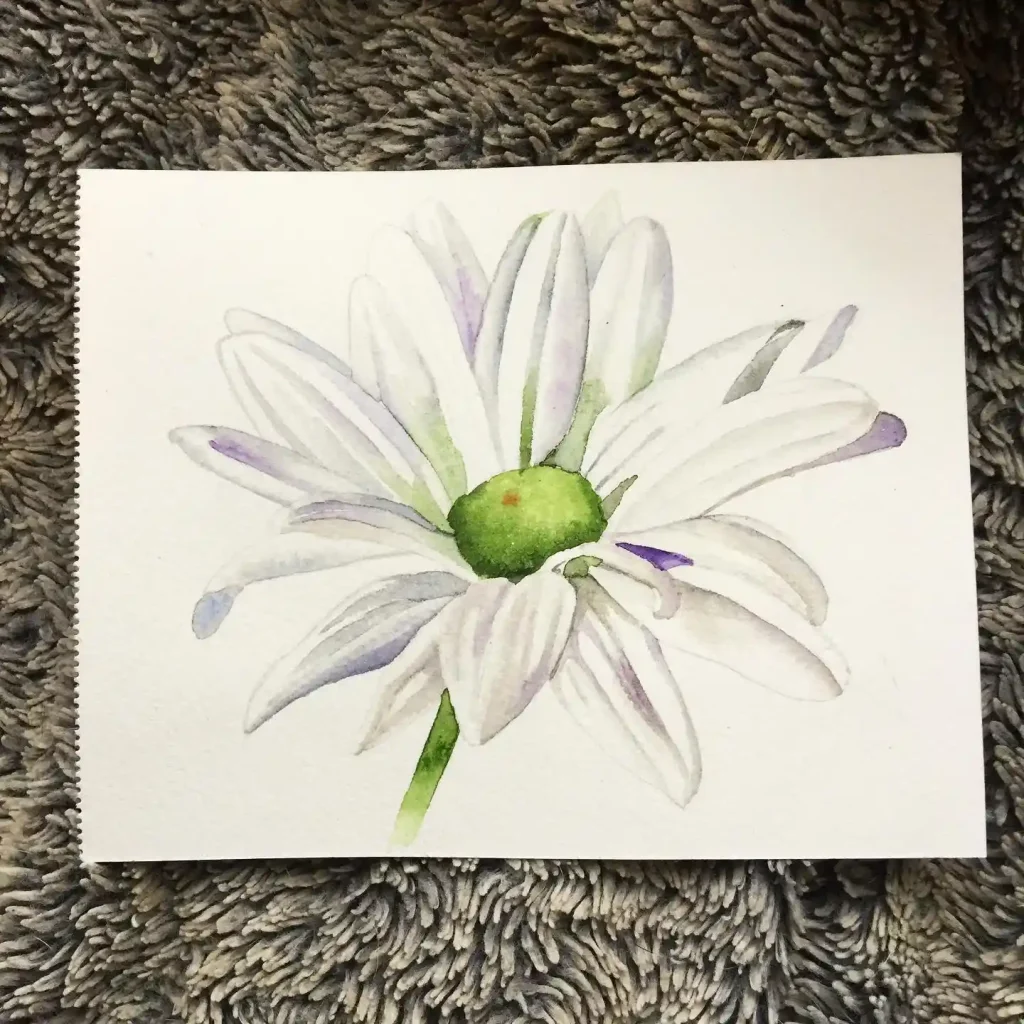 Watercolor Daisy Drawing Ideas (27)