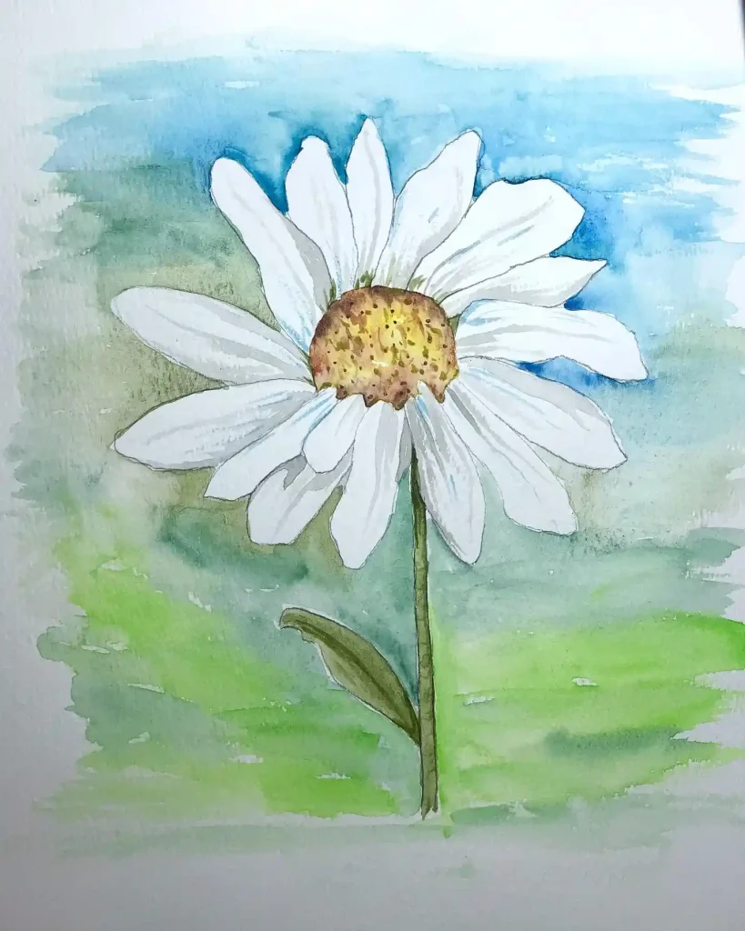 Watercolor Daisy Drawing Ideas (3)