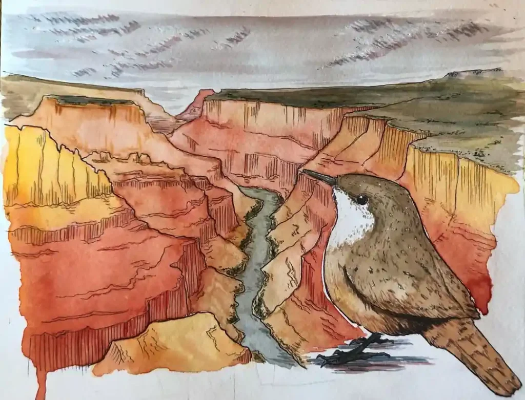 Watercolor Grand Canyon Drawing Ideas 18