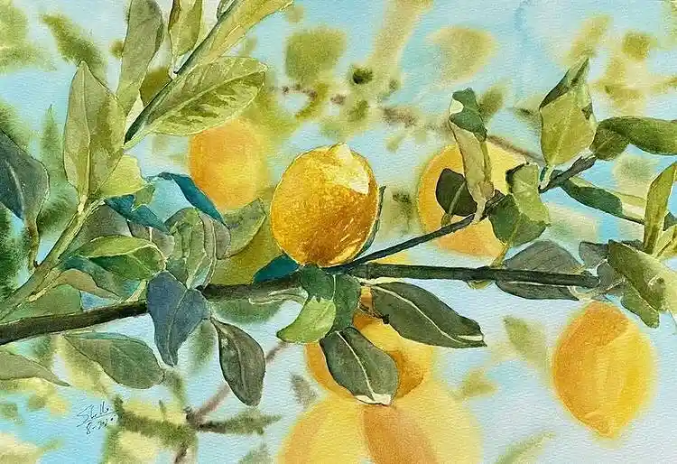 Watercolor Lemon Drawing Ideas 31