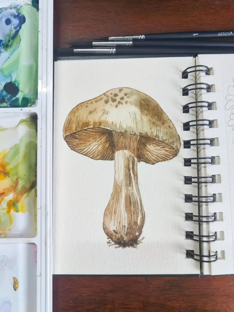Watercolor Mushroom Drawing Ideas 12