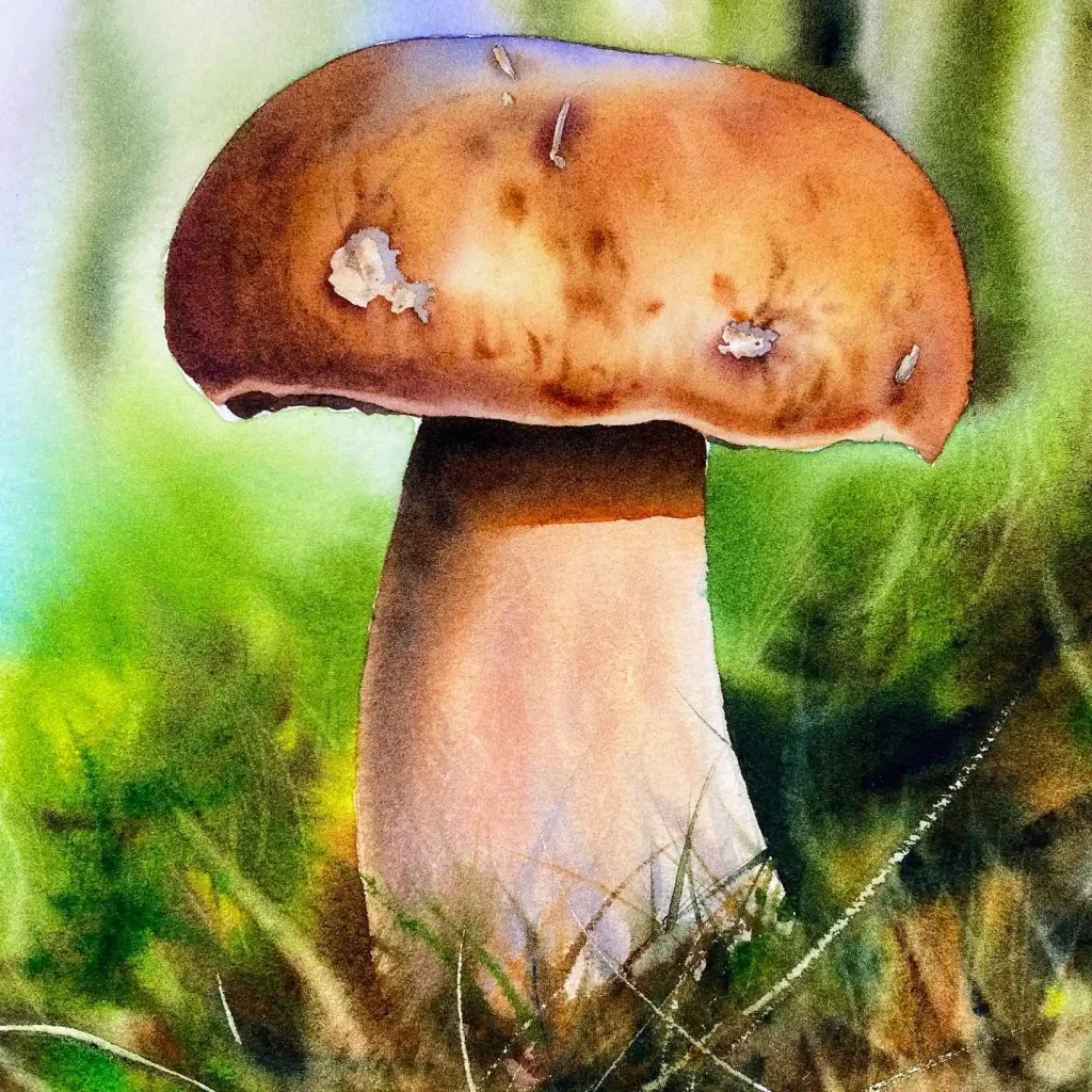 Watercolor Mushroom Drawing Ideas 23