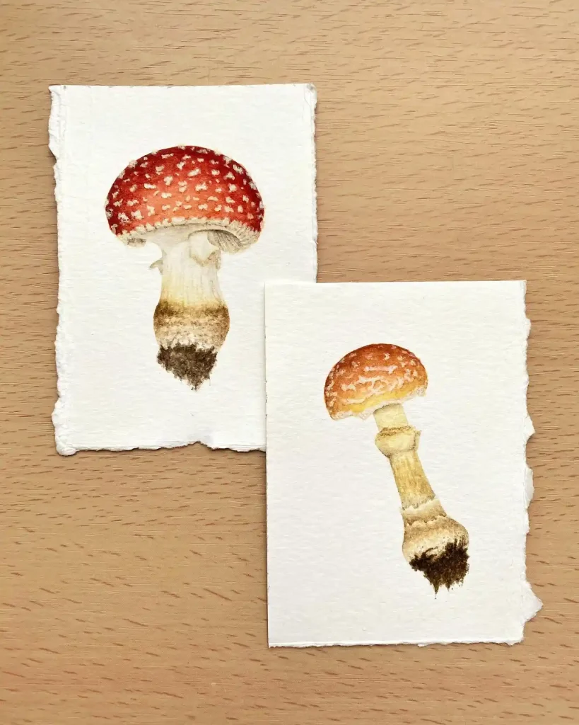 Watercolor Mushroom Drawing Ideas 36