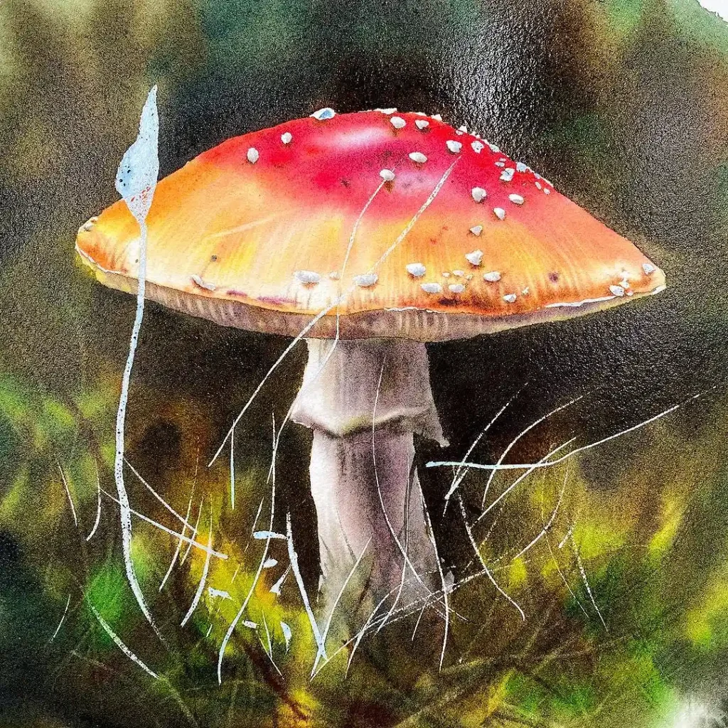 Watercolor Mushroom Drawing Ideas 7