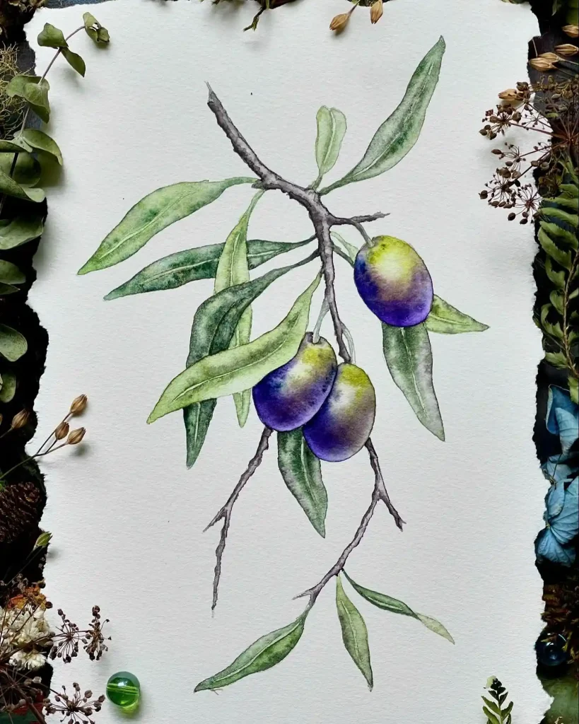 Watercolor Olive Drawing Ideas 11