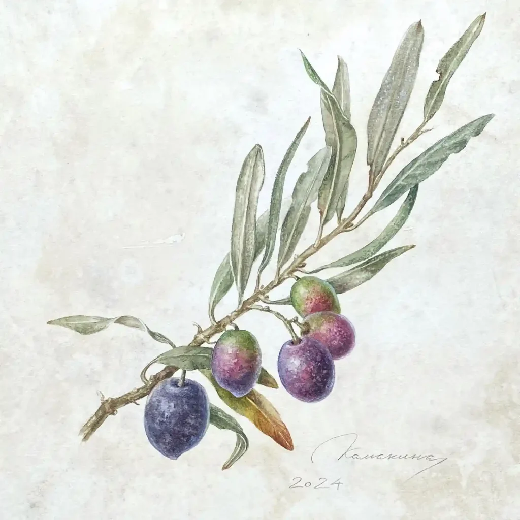 Watercolor Olive Drawing Ideas 14