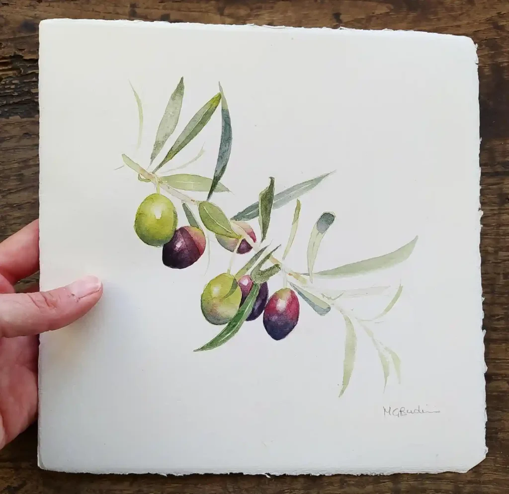 Watercolor Olive Drawing Ideas 16
