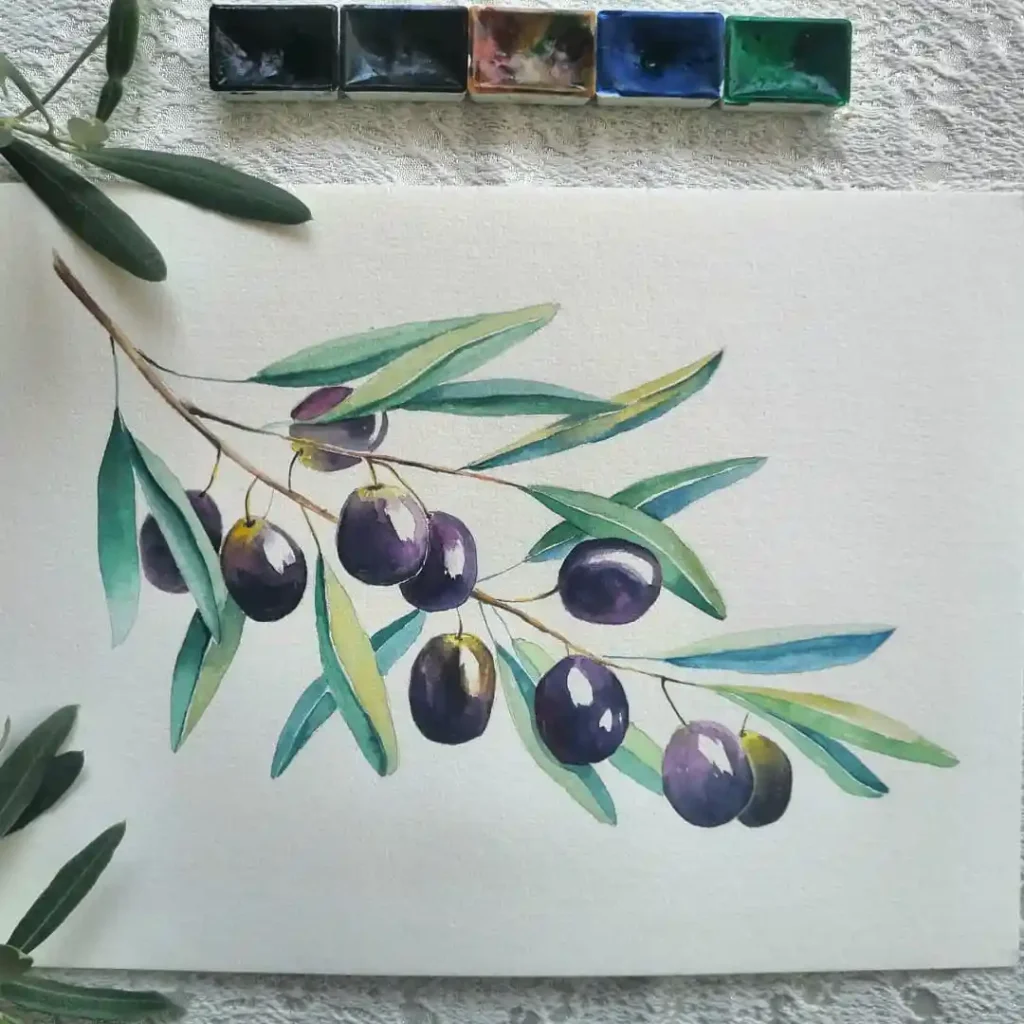 Watercolor Olive Drawing Ideas 18