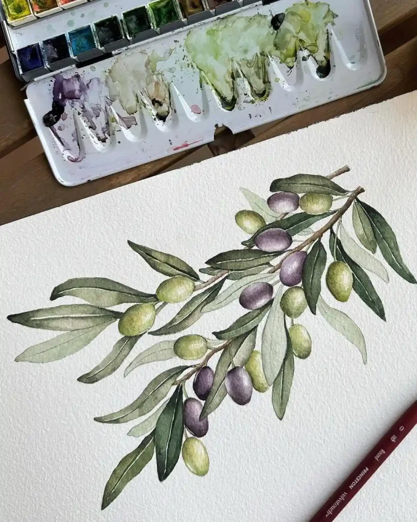 Watercolor Olive Drawing Ideas 4