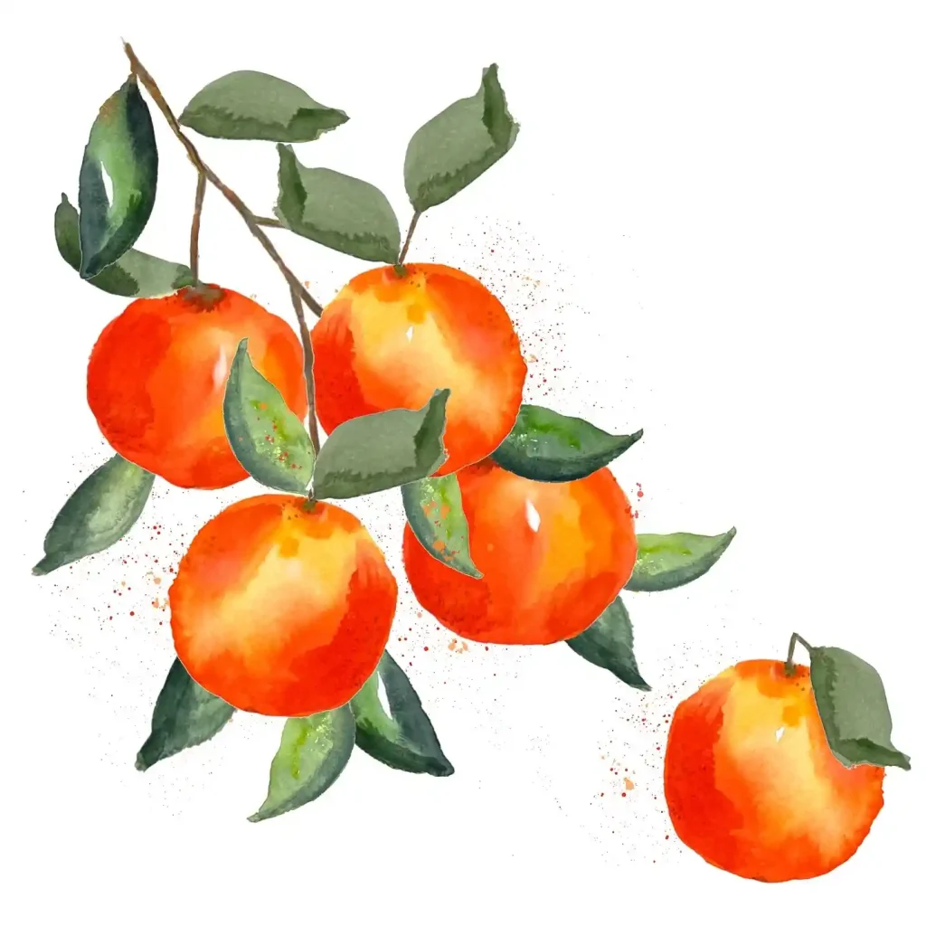 Watercolor Orange Drawing Ideas 11