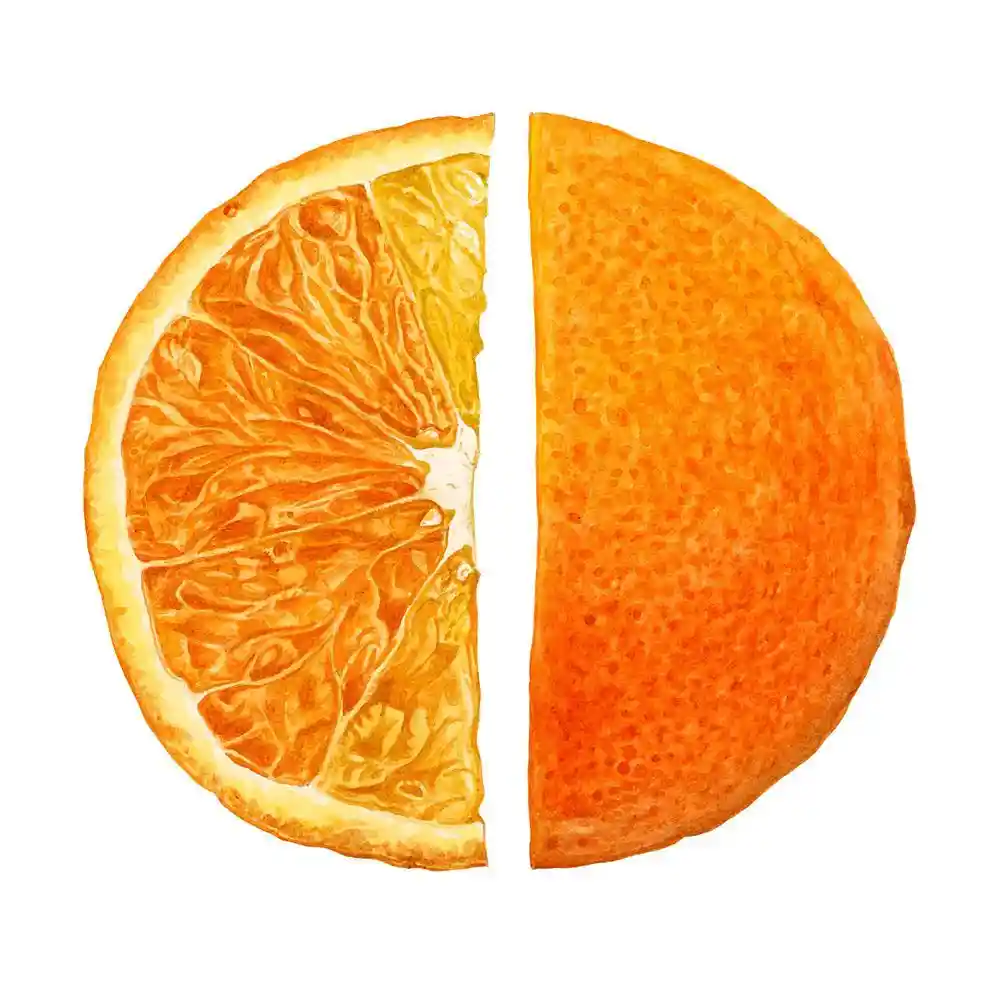 Watercolor Orange Drawing Ideas 7