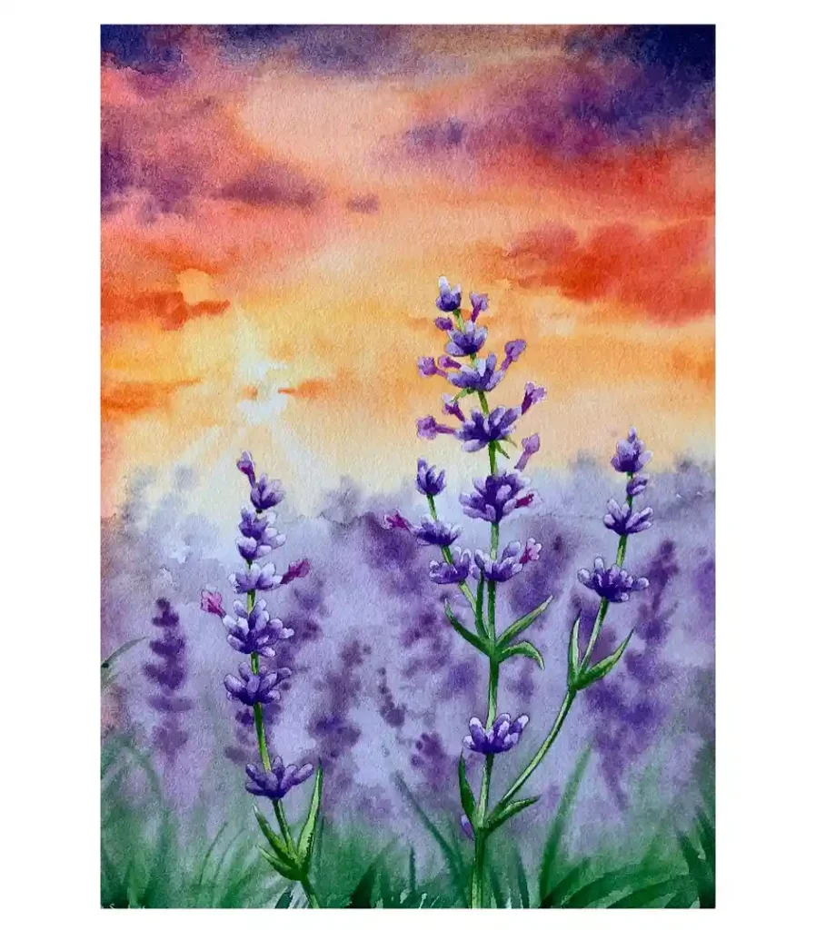 Watercolor lavender Drawing Ideas 1