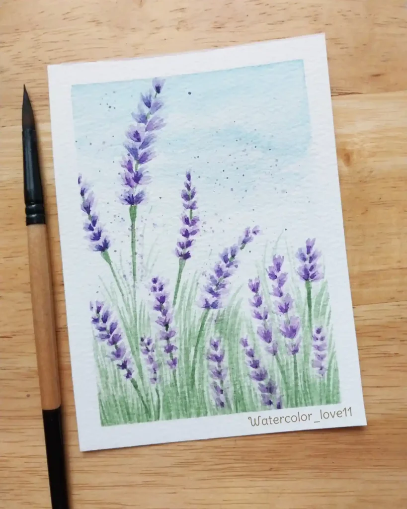 Watercolor lavender Drawing Ideas 16