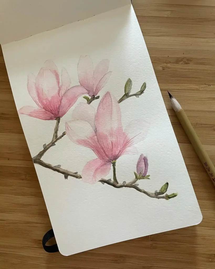 watercolor magnolia drawing ideas (1)
