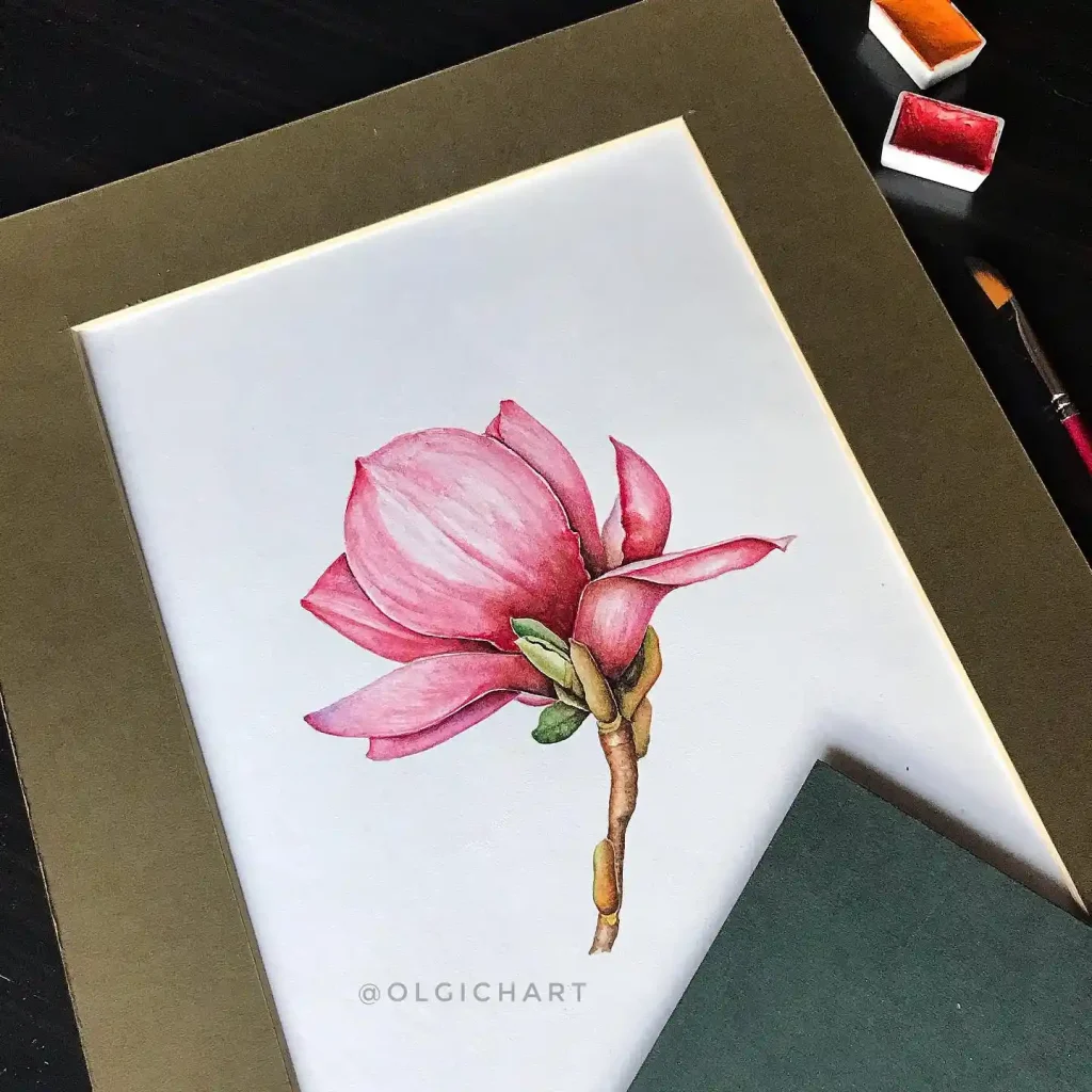 watercolor magnolia drawing ideas (17)