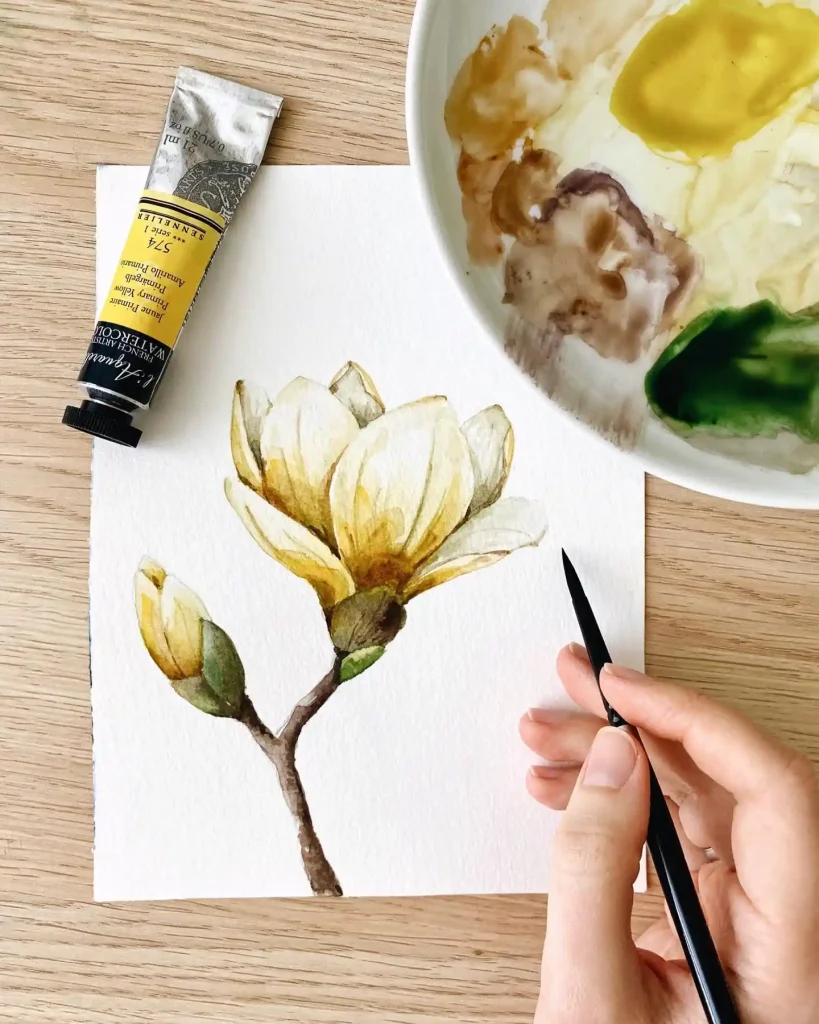 watercolor magnolia drawing ideas (22)