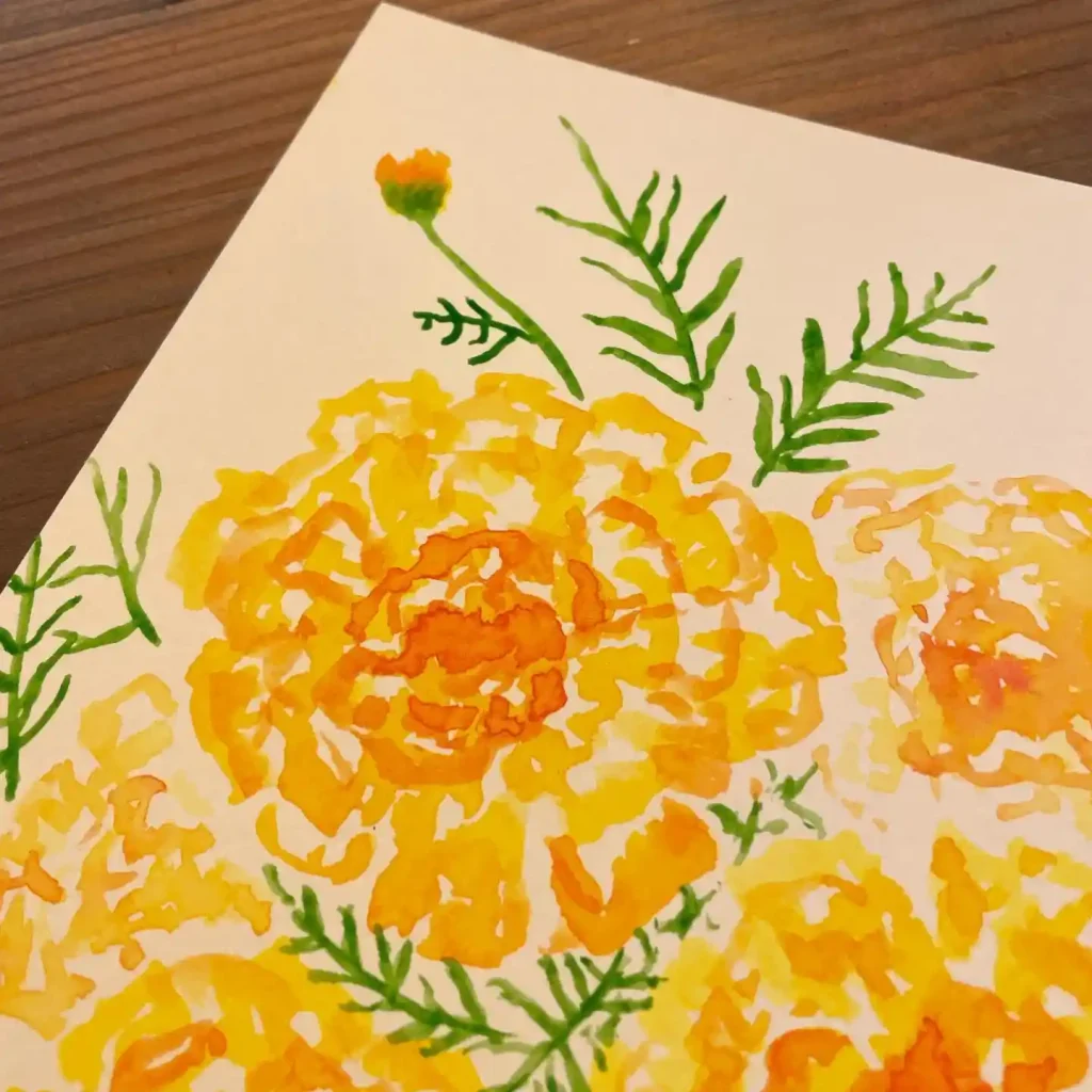 watercolor marigold drawing ideas (10)