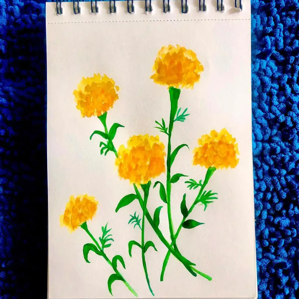 watercolor marigold drawing ideas (11)