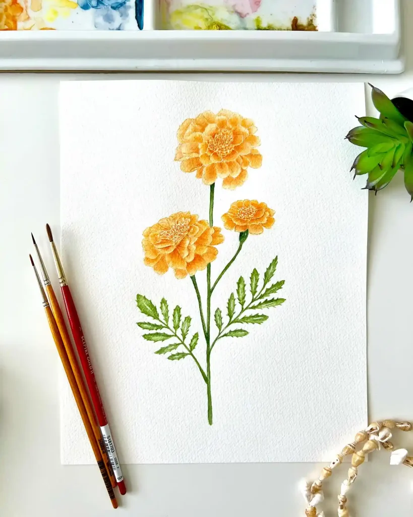 watercolor marigold drawing ideas (12)