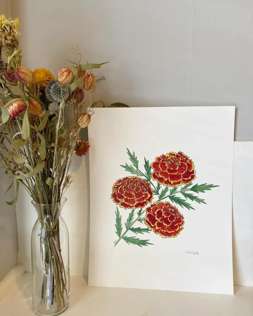 watercolor marigold drawing ideas (13)