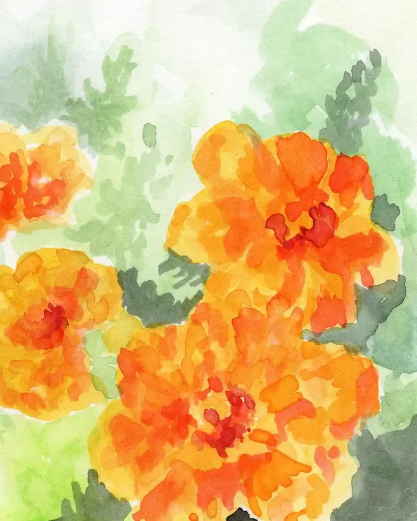watercolor marigold drawing ideas (15)