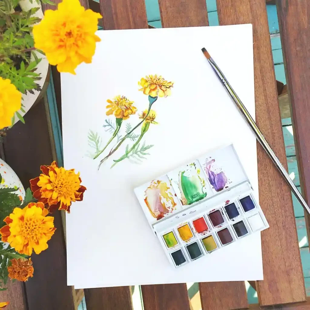 watercolor marigold drawing ideas (21)