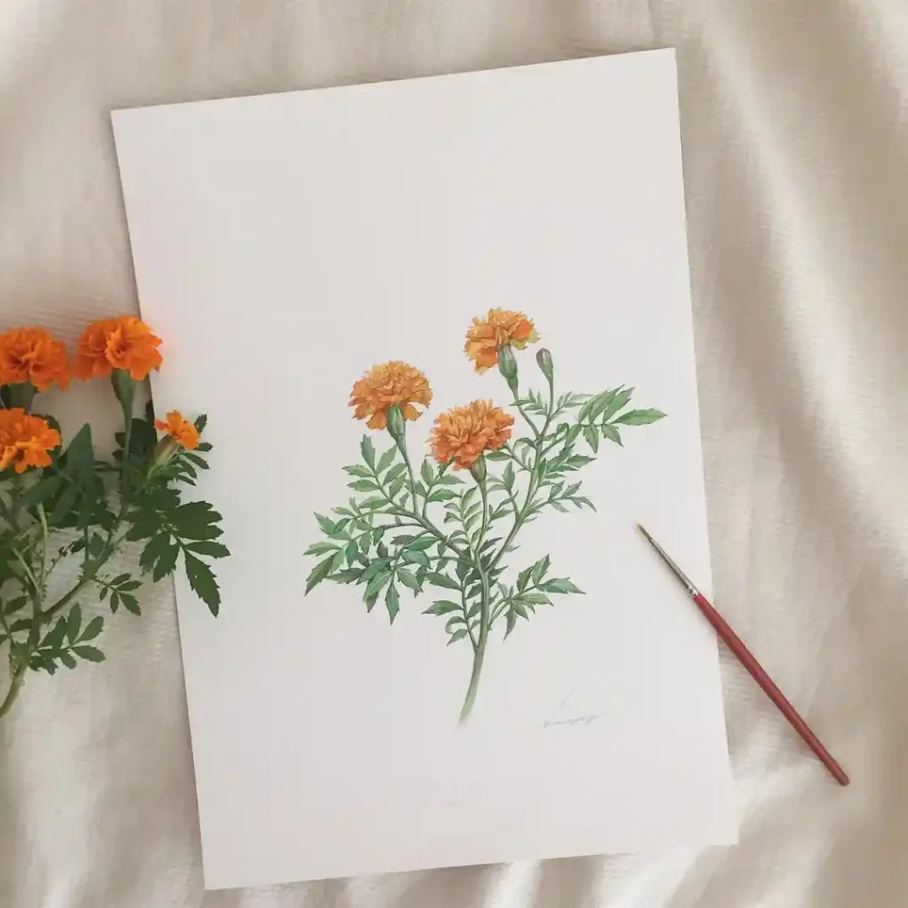 watercolor marigold drawing ideas (24)