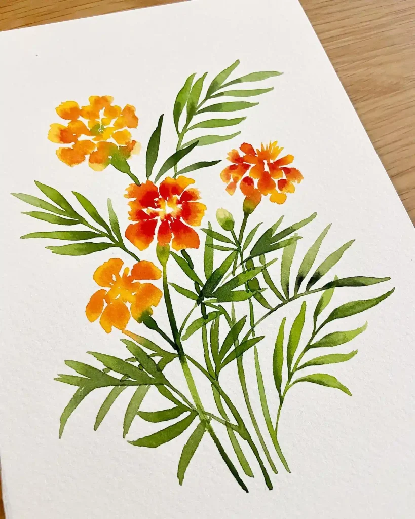 watercolor marigold drawing ideas (28)