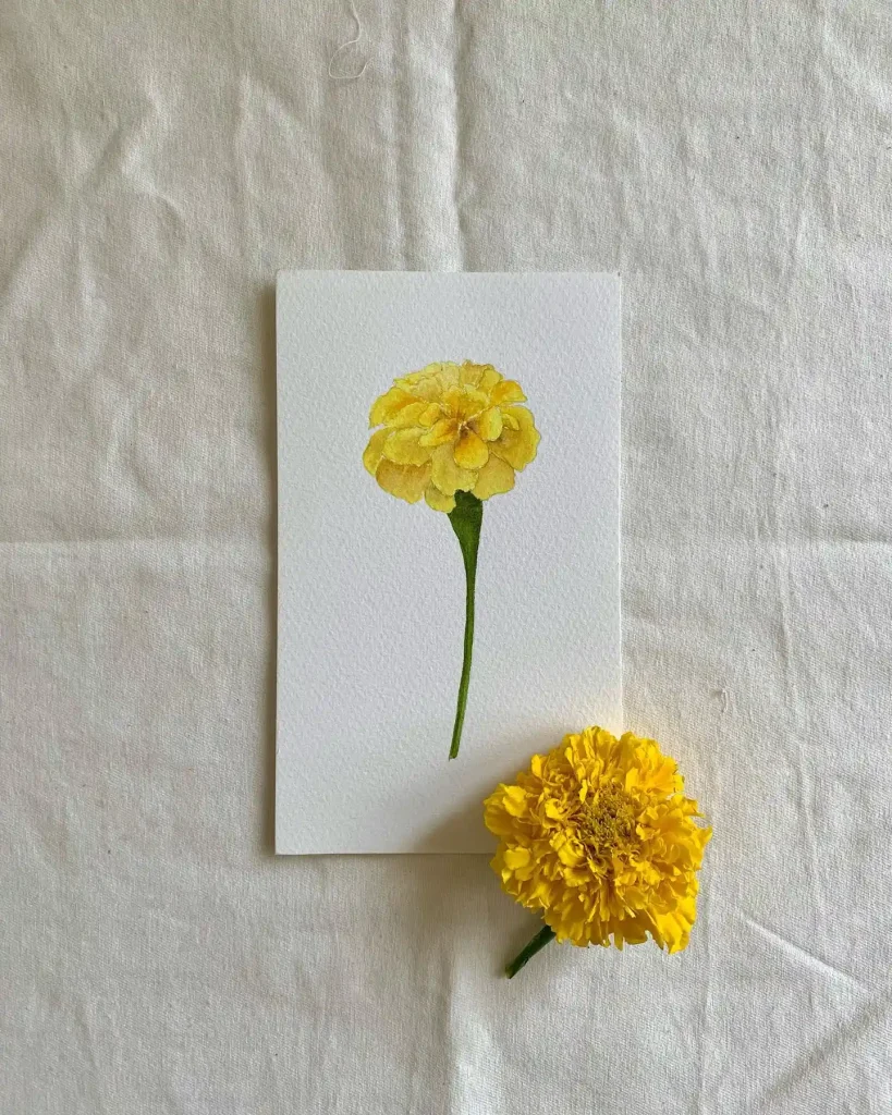 watercolor marigold drawing ideas (29)