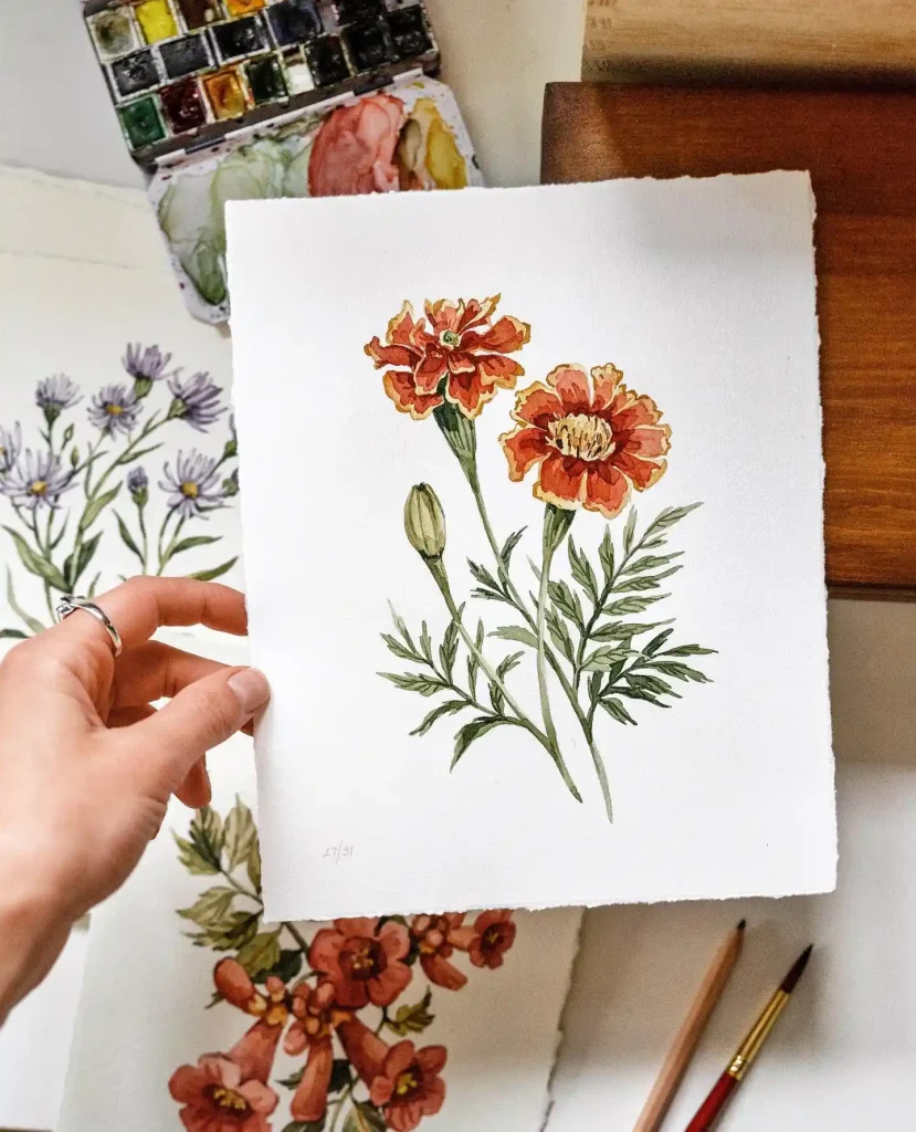 watercolor marigold drawing ideas (31)