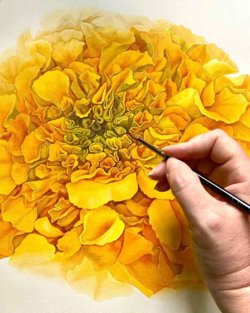 watercolor marigold drawing ideas (33)