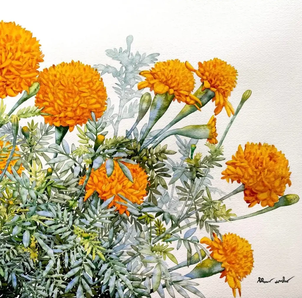 watercolor marigold drawing ideas (5)