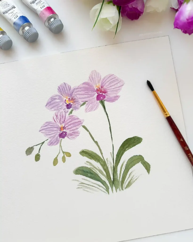 watercolor orchid drawing ideas (10)
