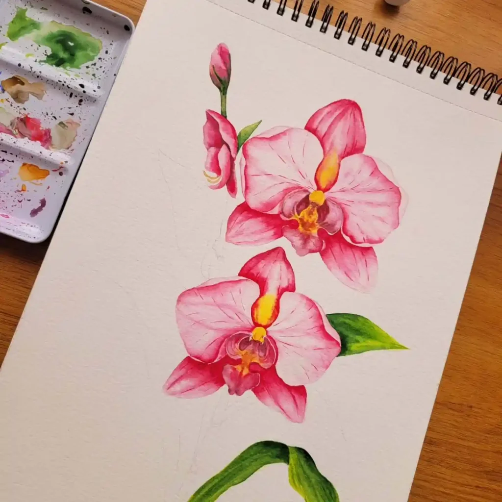 watercolor orchid drawing ideas (17)