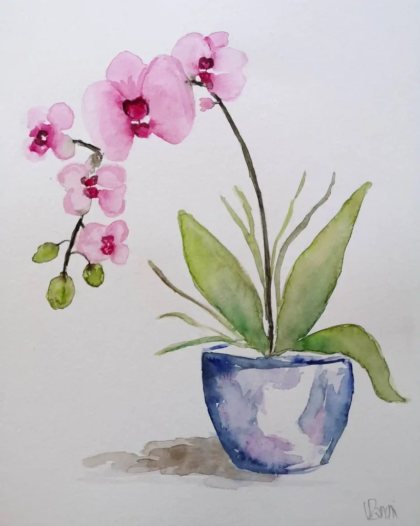watercolor orchid drawing ideas (2)