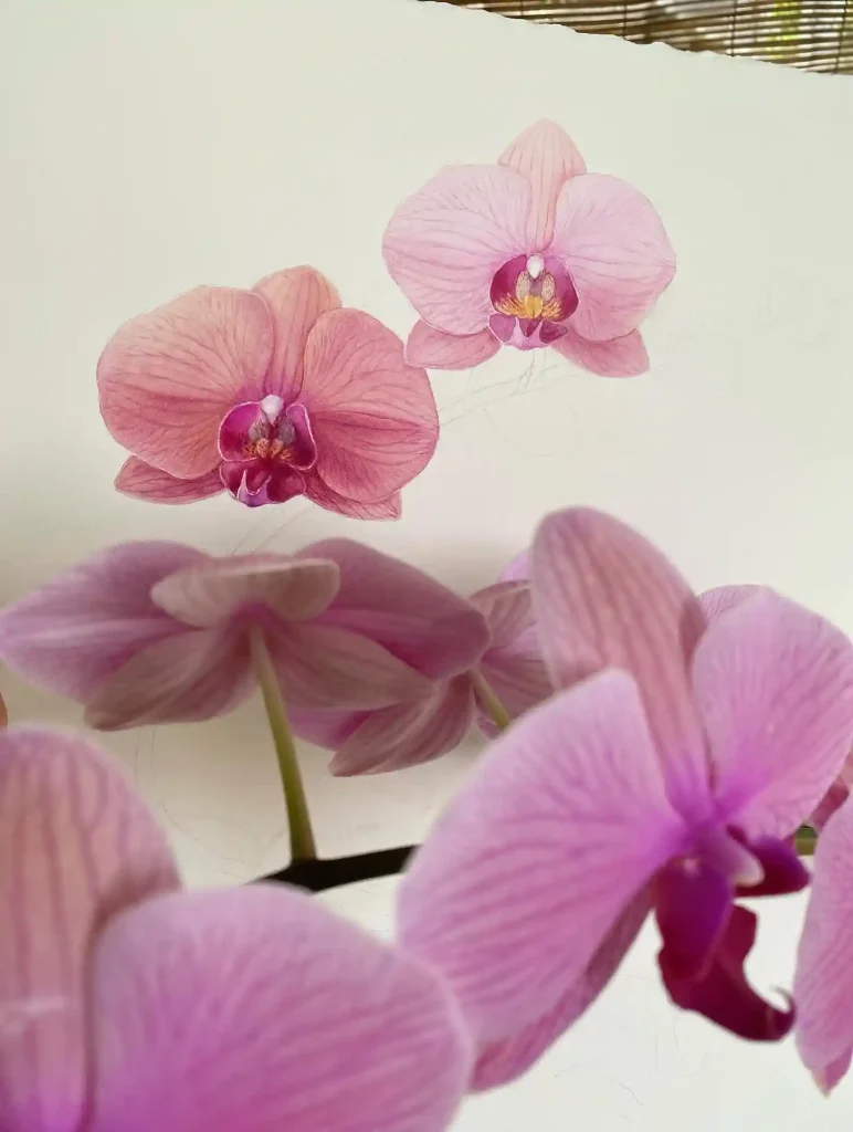 watercolor orchid drawing ideas (3)