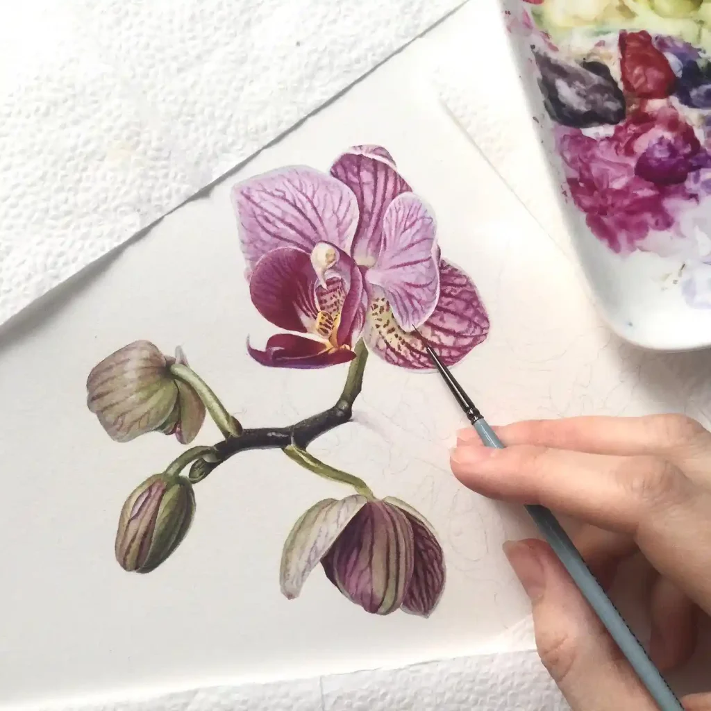 watercolor orchid drawing ideas (4)