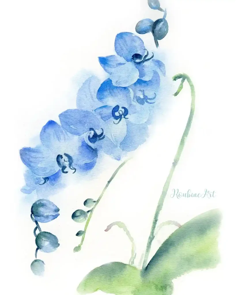 watercolor orchid drawing ideas (7)